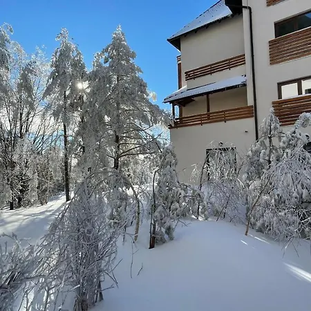 Pinewood Divčibare